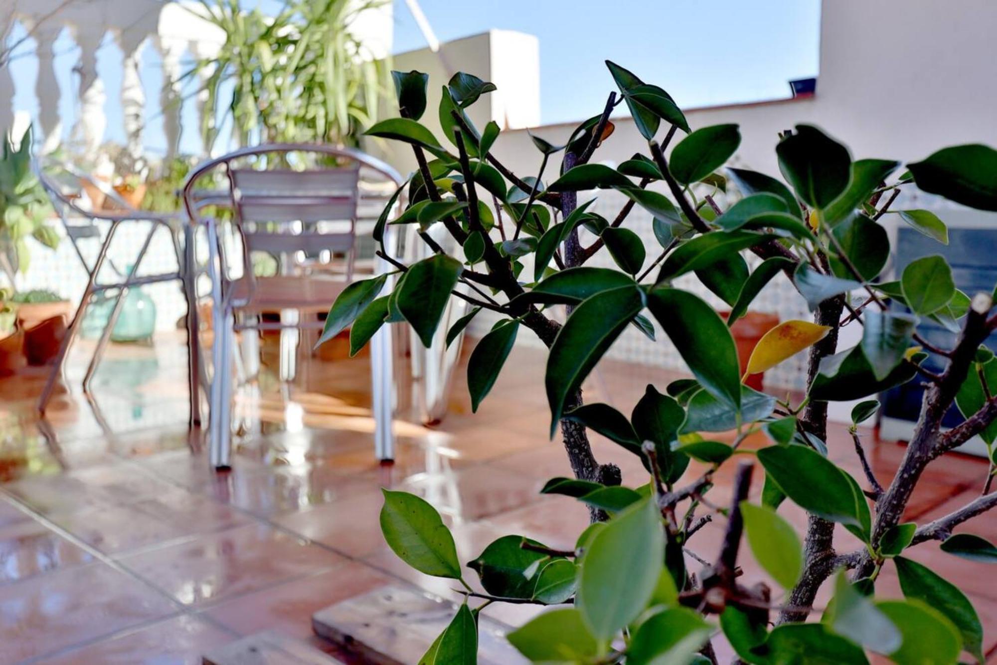 Atico Con Terraza En Pleno Centro Apartment Cordoba Ngoại thất bức ảnh